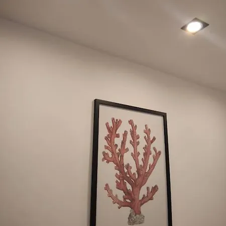 Dimora Cutelli Catania